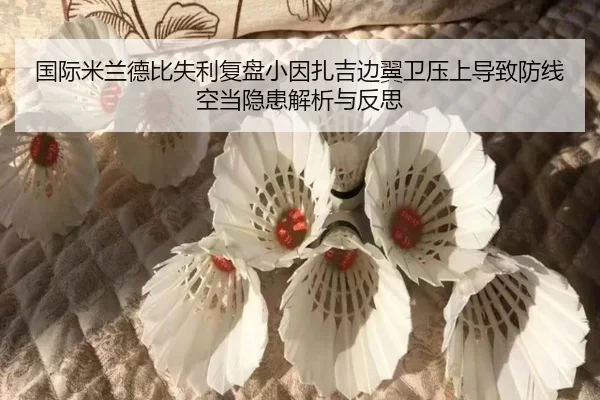 guo-ji-mi-lan-de-bi-shi-li-fu-pan-xiao-yin-zha-ji-bian-yi-wei-ya-shang-dao-zhi-fang-xian-kong-dang-yin-huan-jie-xi-yu-2-700.jpg